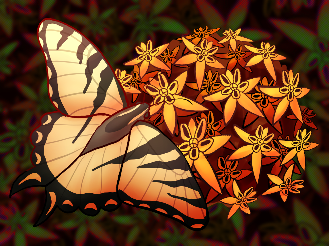 My First Attempt at Winter Sowing