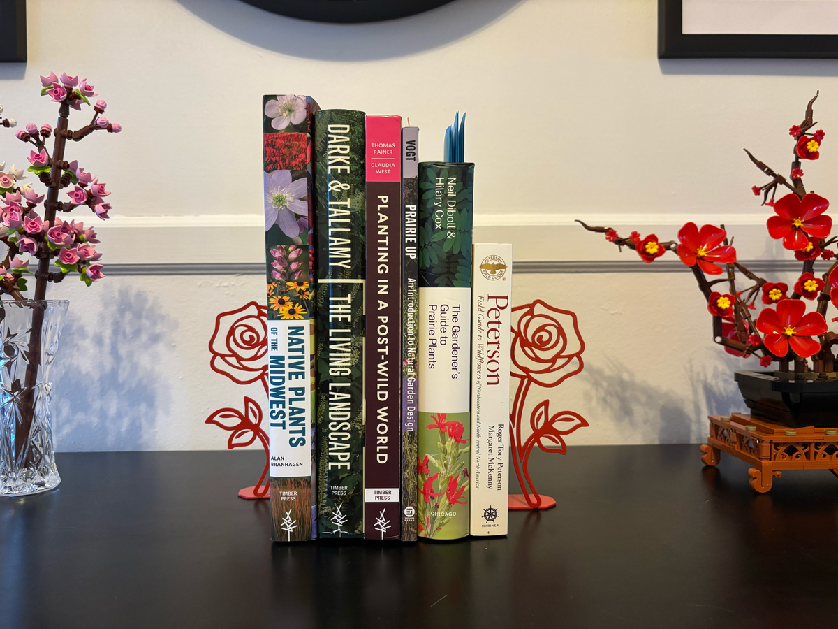 My Winter Reading List