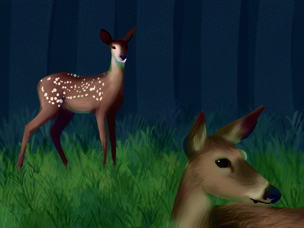 Finishing Up My Fall Planting